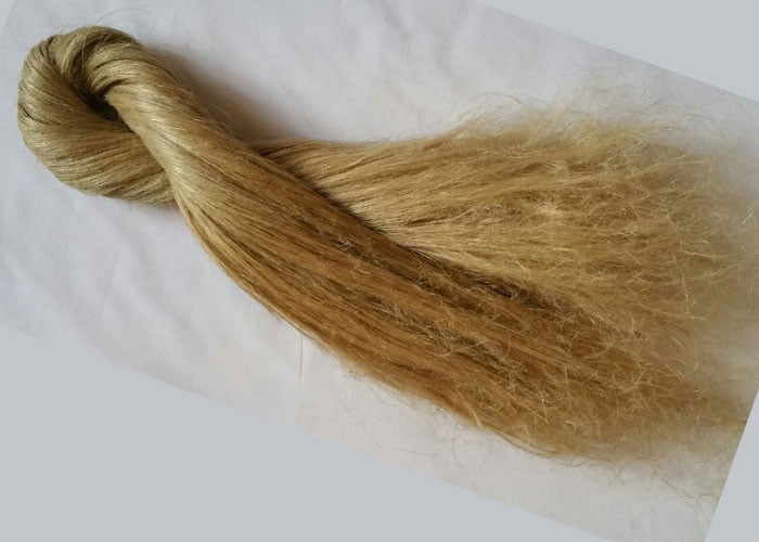 Scutched flax (long flax fibers) Delta Flax